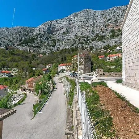House Darijo