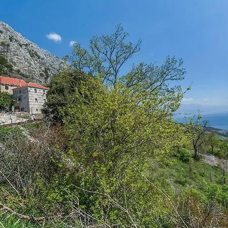 Casa vacanze House Darijo